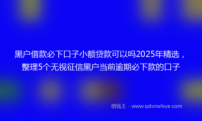 黑户借款必下口子小额贷款可以吗2025年精选，整理5个无视征信黑户当前逾期必下款的口子