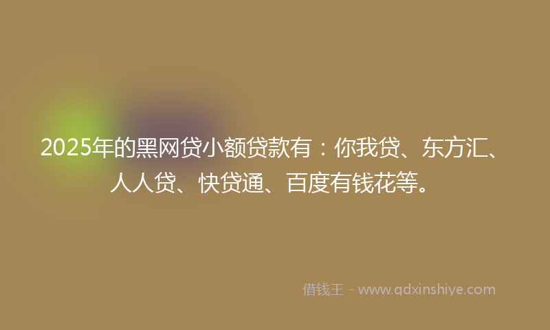 2025年的黑网贷小额贷款有：你我贷、东方汇、人人贷、快贷通、百度有钱花等。