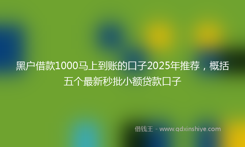 黑户借款1000马上到账的口子2025年推荐，概括五个最新秒批小额贷款口子