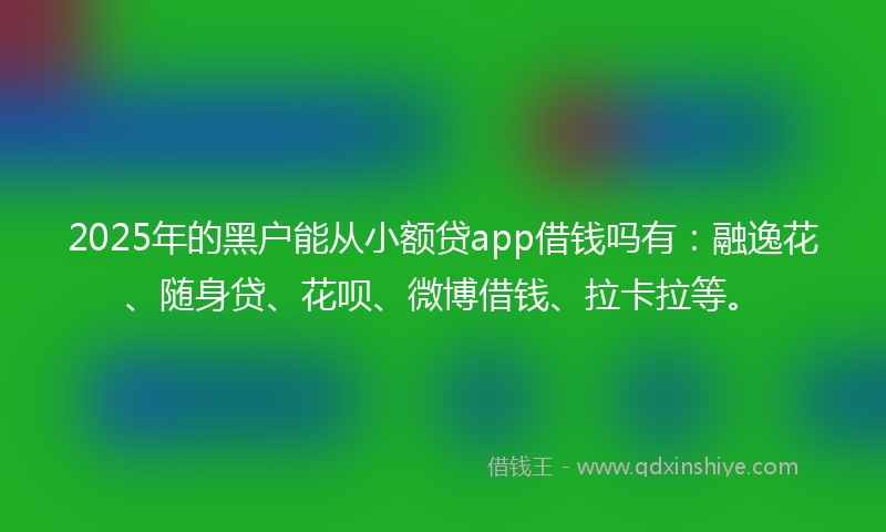 2025年的黑户能从小额贷app借钱吗有：融逸花、随身贷、花呗、微博借钱、拉卡拉等。
