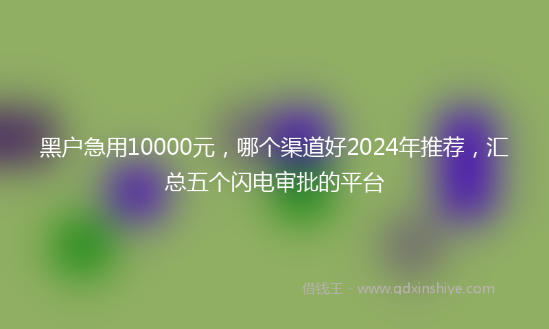 黑户急用10000元，哪个渠道好2024年推荐，汇总五个闪电审批的平台