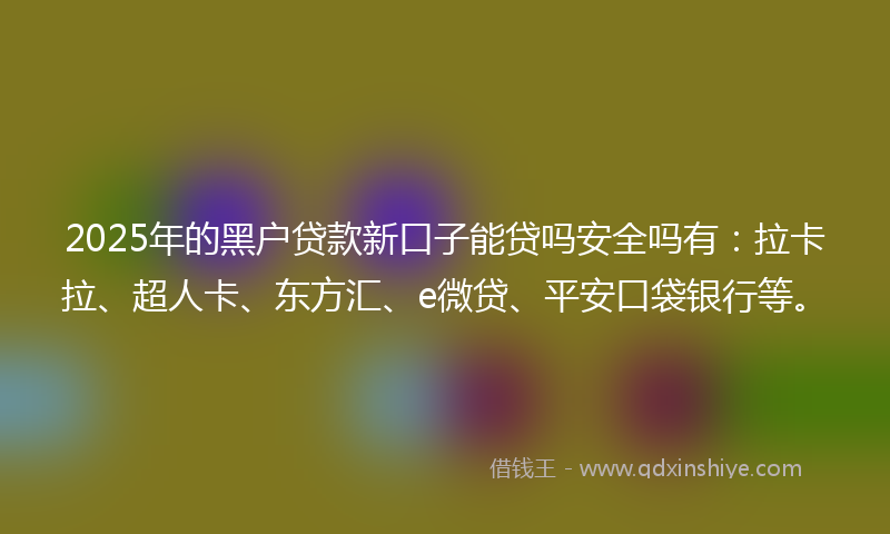 2025年的黑户贷款新口子能贷吗安全吗有：拉卡拉、超人卡、东方汇、e微贷、平安口袋银行等。