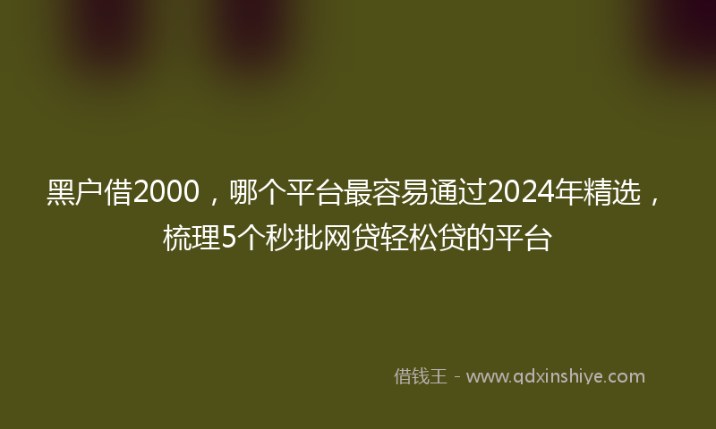 黑户借2000，哪个平台最容易通过2024年精选，梳理5个秒批网贷轻松贷的平台