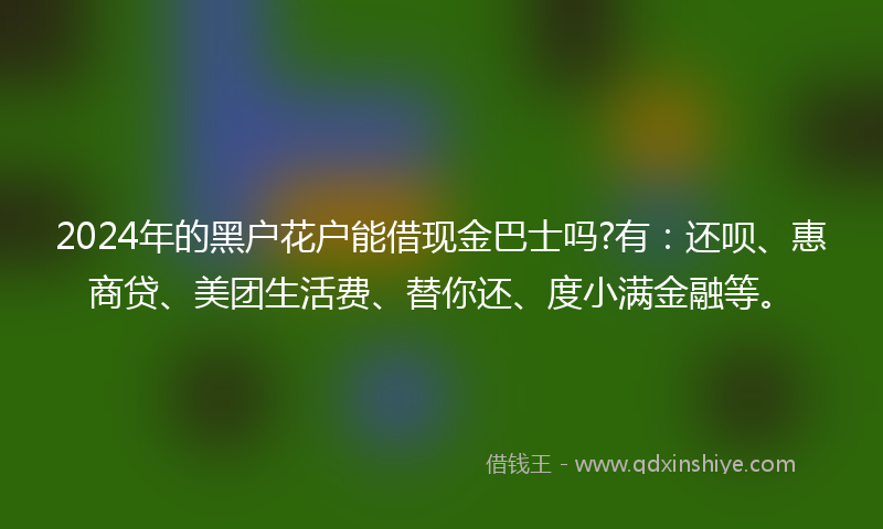 2024年的黑户花户能借现金巴士吗?有：还呗、惠商贷、美团生活费、替你还、度小满金融等。