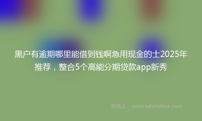 黑户有逾期哪里能借到钱啊急用现金的士2025年推荐，整合5个高能分期贷款app新秀