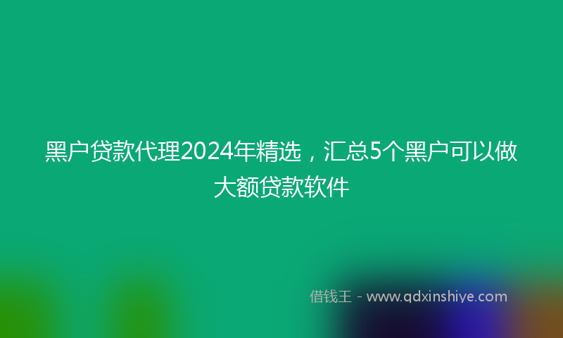 黑户贷款代理2024年精选，汇总5个黑户可以做大额贷款软件