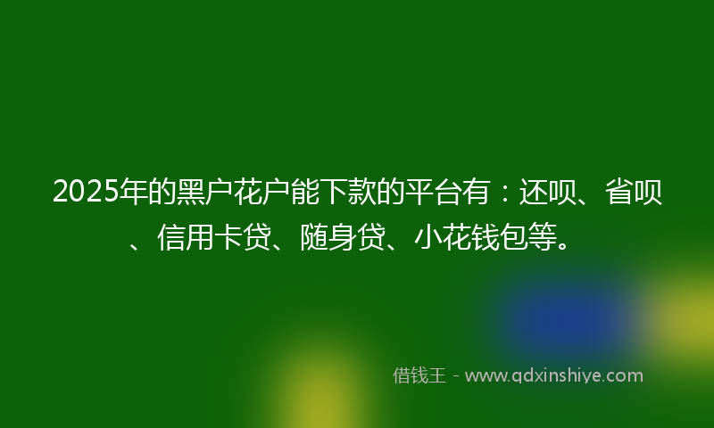 2025年的黑户花户能下款的平台有：还呗、省呗、信用卡贷、随身贷、小花钱包等。