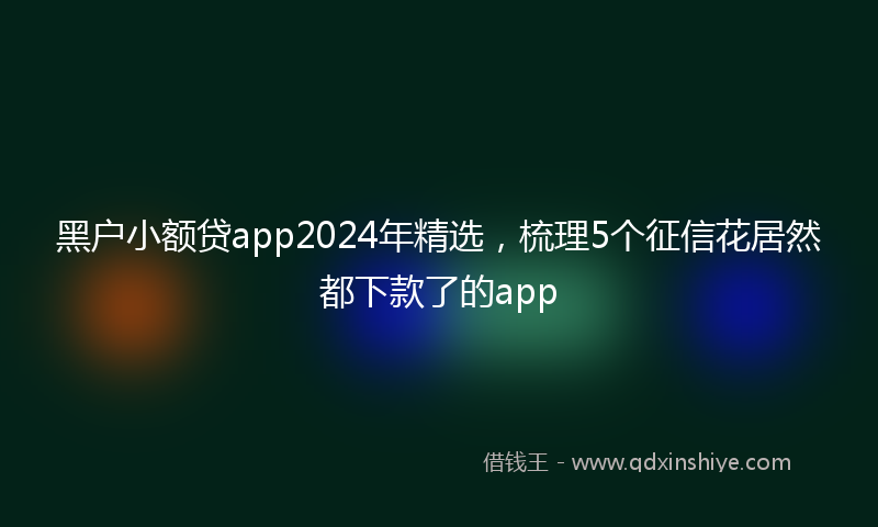 黑户小额贷app2024年精选，梳理5个征信花居然都下款了的app
