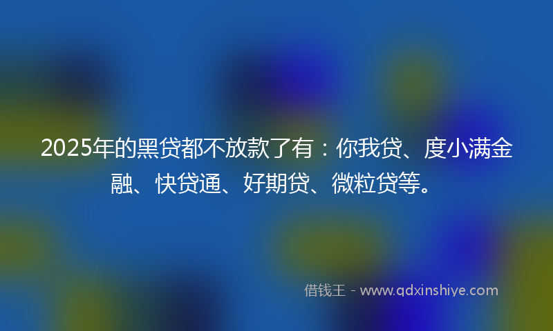 2025年的黑贷都不放款了有：你我贷、度小满金融、快贷通、好期贷、微粒贷等。