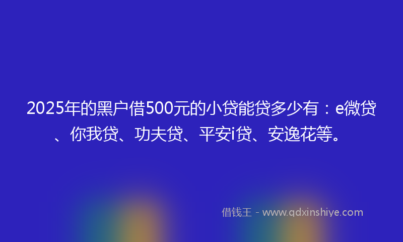 2025年的黑户借500元的小贷能贷多少有：e微贷、你我贷、功夫贷、平安i贷、安逸花等。