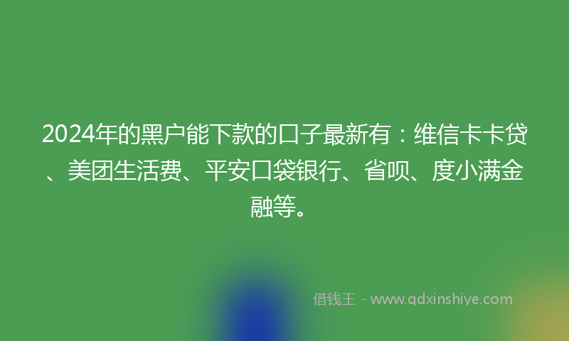 2024年的黑户能下款的口子最新有：维信卡卡贷、美团生活费、平安口袋银行、省呗、度小满金融等。