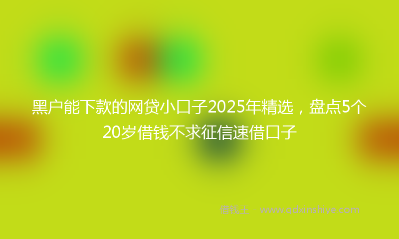 黑户能下款的网贷小口子2025年精选，盘点5个20岁借钱不求征信速借口子