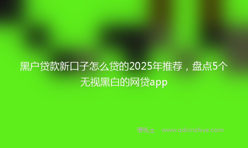 黑户贷款新口子怎么贷的2025年推荐，盘点5个无视黑白的网贷app