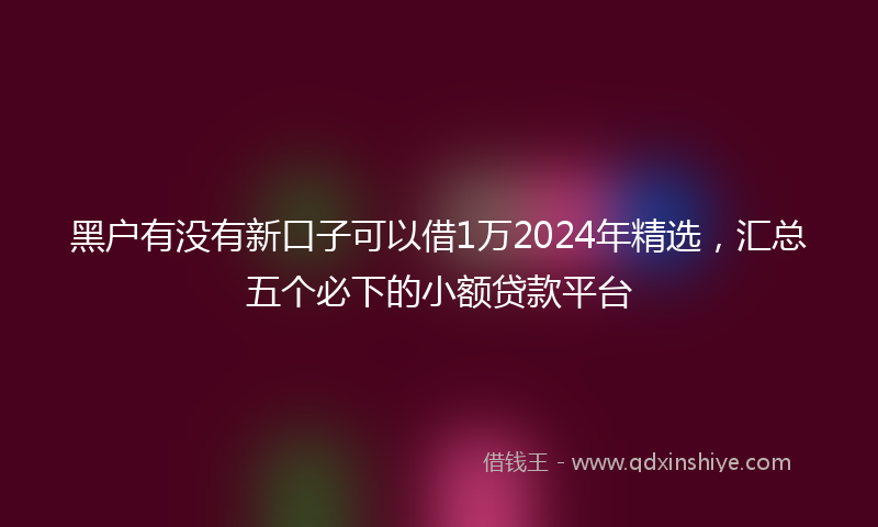 黑户有没有新口子可以借1万2024年精选，汇总五个必下的小额贷款平台