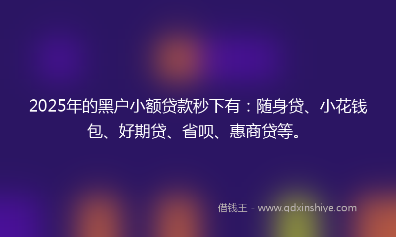 2025年的黑户小额贷款秒下有：随身贷、小花钱包、好期贷、省呗、惠商贷等。