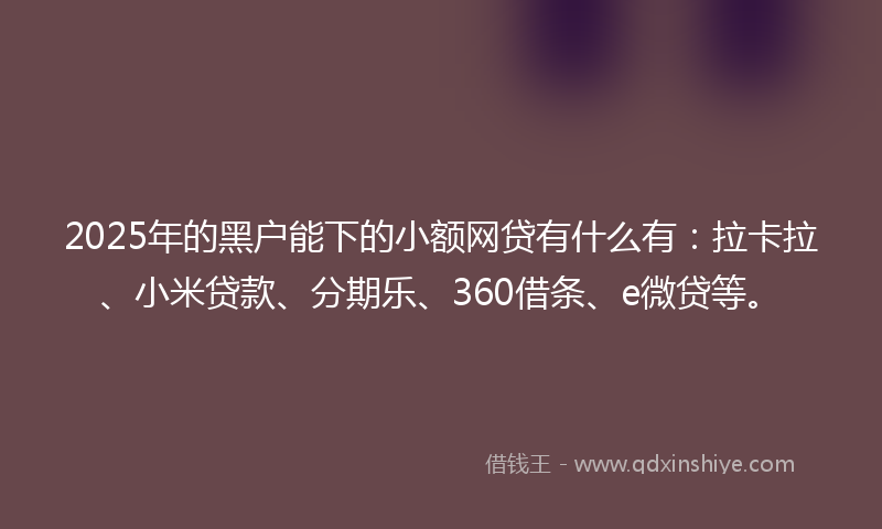 2025年的黑户能下的小额网贷有什么有：拉卡拉、小米贷款、分期乐、360借条、e微贷等。
