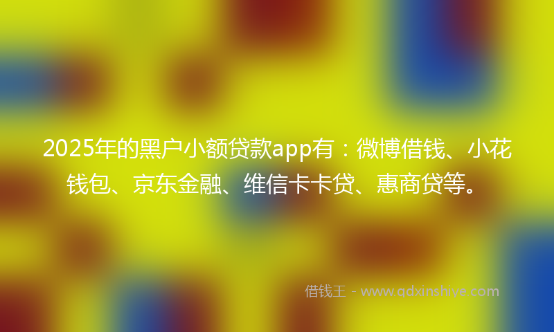 2025年的黑户小额贷款app有：微博借钱、小花钱包、京东金融、维信卡卡贷、惠商贷等。