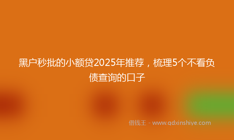 黑户秒批的小额贷2025年推荐，梳理5个不看负债查询的口子