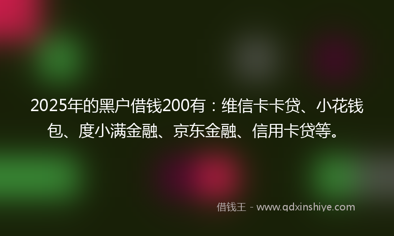 2025年的黑户借钱200有：维信卡卡贷、小花钱包、度小满金融、京东金融、信用卡贷等。