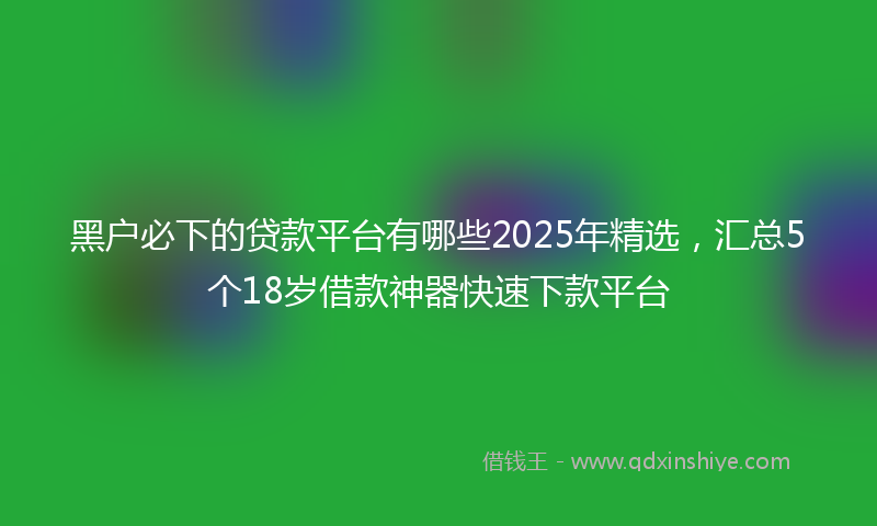 黑户必下的贷款平台有哪些2025年精选，汇总5个18岁借款神器快速下款平台