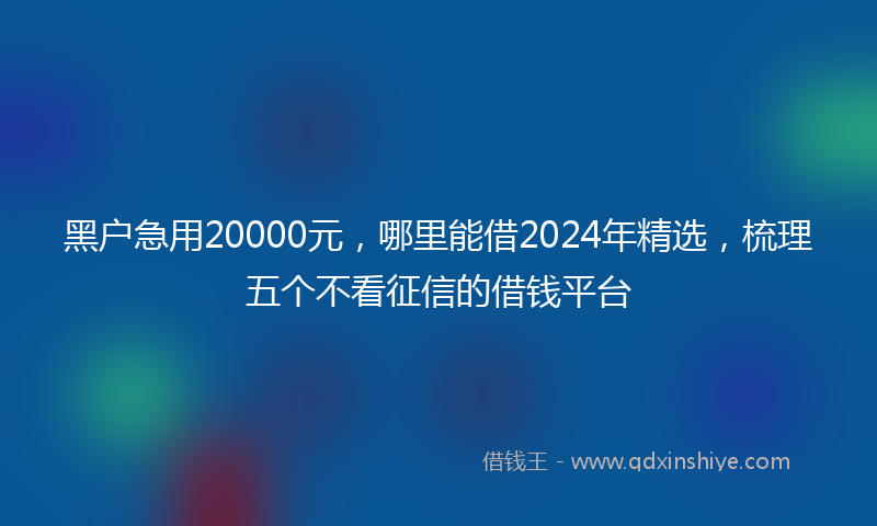 黑户急用20000元，哪里能借2024年精选，梳理五个不看征信的借钱平台