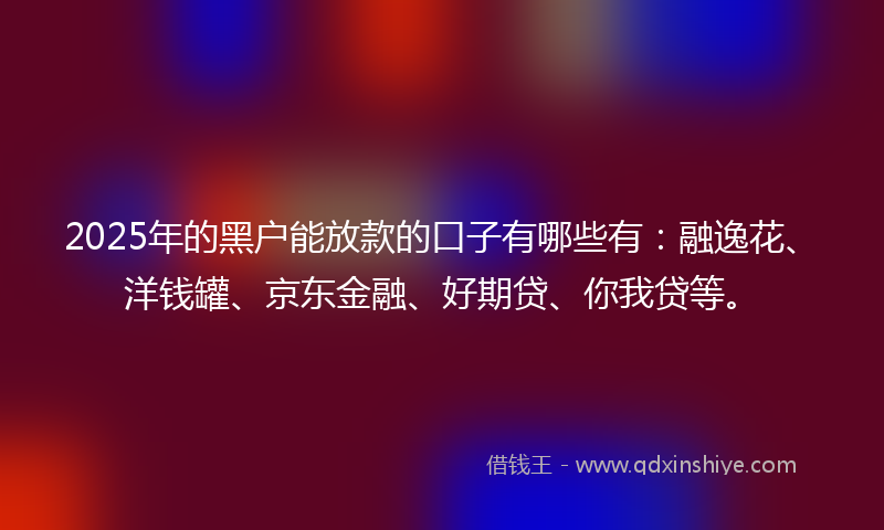 2025年的黑户能放款的口子有哪些有：融逸花、洋钱罐、京东金融、好期贷、你我贷等。
