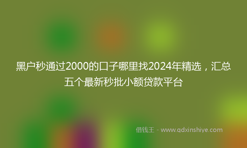 黑户秒通过2000的口子哪里找2024年精选，汇总五个最新秒批小额贷款平台