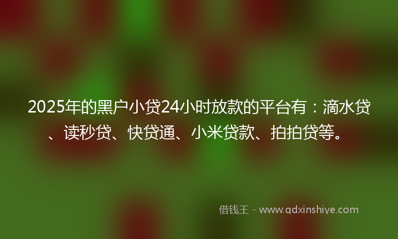 2025年的黑户小贷24小时放款的平台有：滴水贷、读秒贷、快贷通、小米贷款、拍拍贷等。
