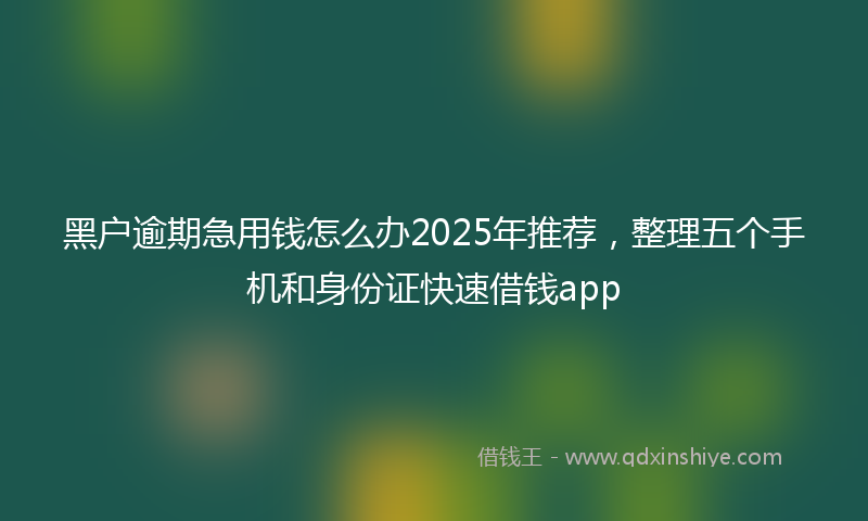 黑户逾期急用钱怎么办2025年推荐，整理五个手机和身份证快速借钱app