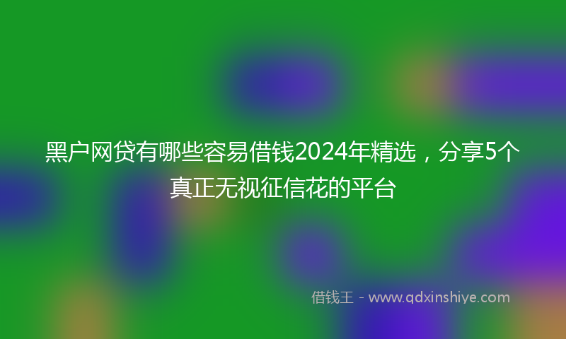 黑户网贷有哪些容易借钱2024年精选，分享5个真正无视征信花的平台