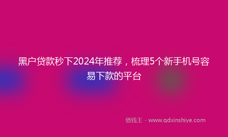 黑户贷款秒下2024年推荐，梳理5个新手机号容易下款的平台