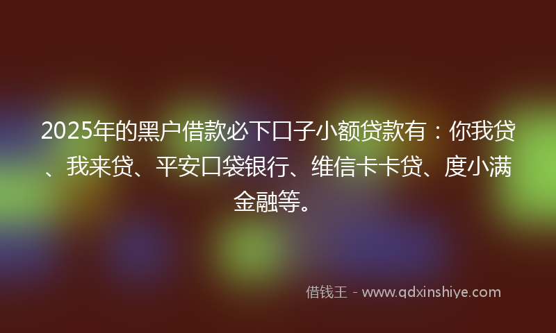 2025年的黑户借款必下口子小额贷款有：你我贷、我来贷、平安口袋银行、维信卡卡贷、度小满金融等。