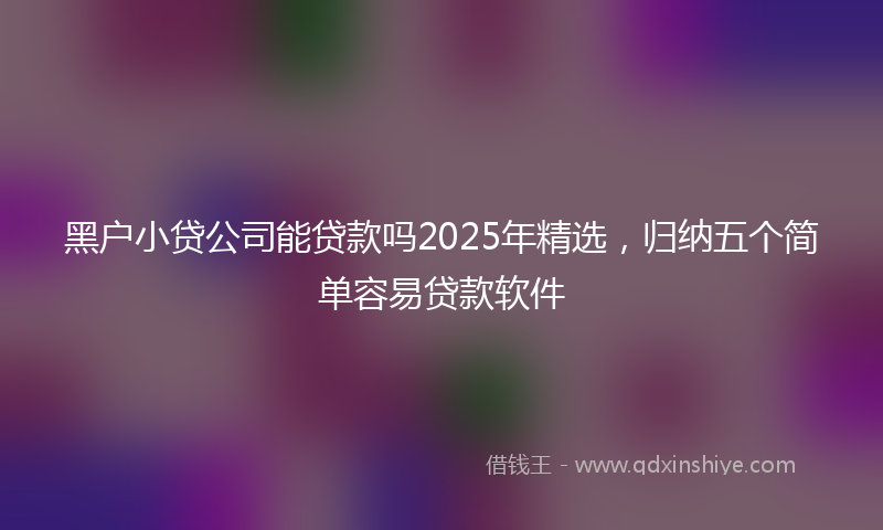 黑户小贷公司能贷款吗2025年精选，归纳五个简单容易贷款软件