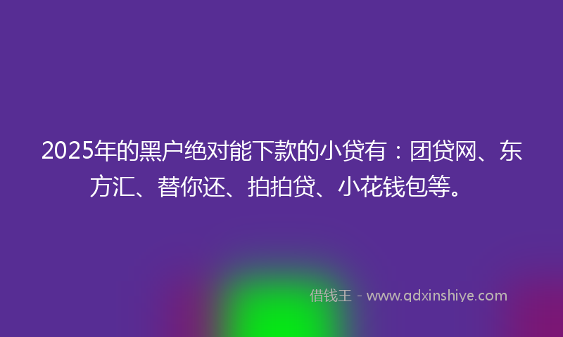 2025年的黑户绝对能下款的小贷有：团贷网、东方汇、替你还、拍拍贷、小花钱包等。