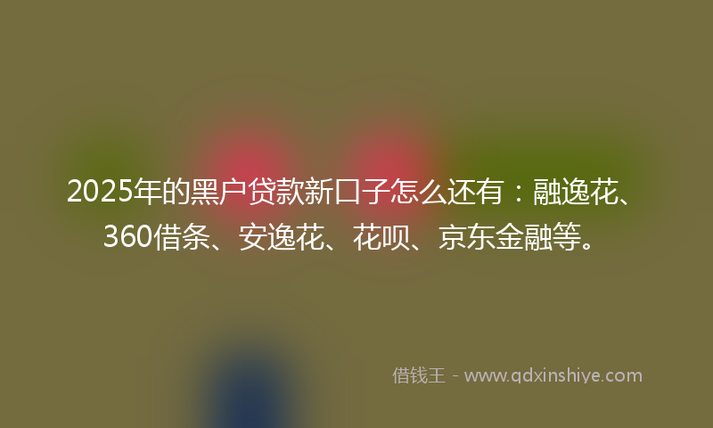 2025年的黑户贷款新口子怎么还有：融逸花、360借条、安逸花、花呗、京东金融等。