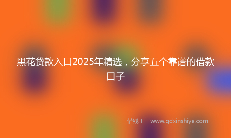 黑花贷款入口2025年精选，分享五个靠谱的借款口子