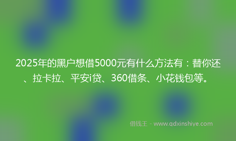 2025年的黑户想借5000元有什么方法有：替你还、拉卡拉、平安i贷、360借条、小花钱包等。