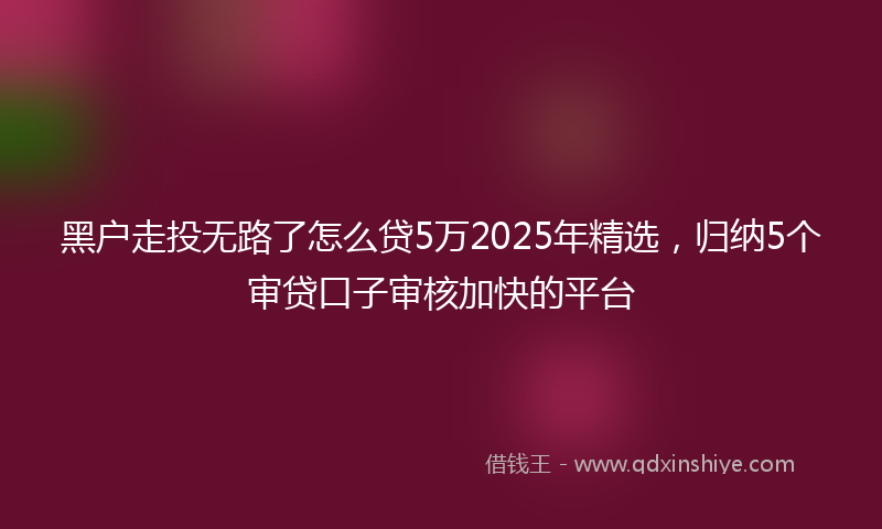 黑户走投无路了怎么贷5万2025年精选，归纳5个审贷口子审核加快的平台