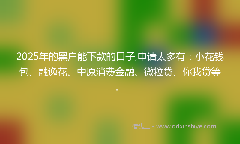 2025年的黑户能下款的口子,申请太多有：小花钱包、融逸花、中原消费金融、微粒贷、你我贷等。