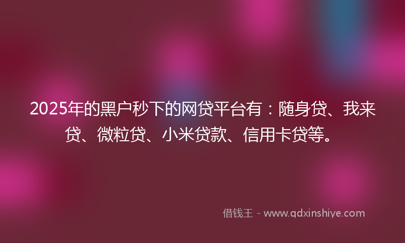 2025年的黑户秒下的网贷平台有：随身贷、我来贷、微粒贷、小米贷款、信用卡贷等。