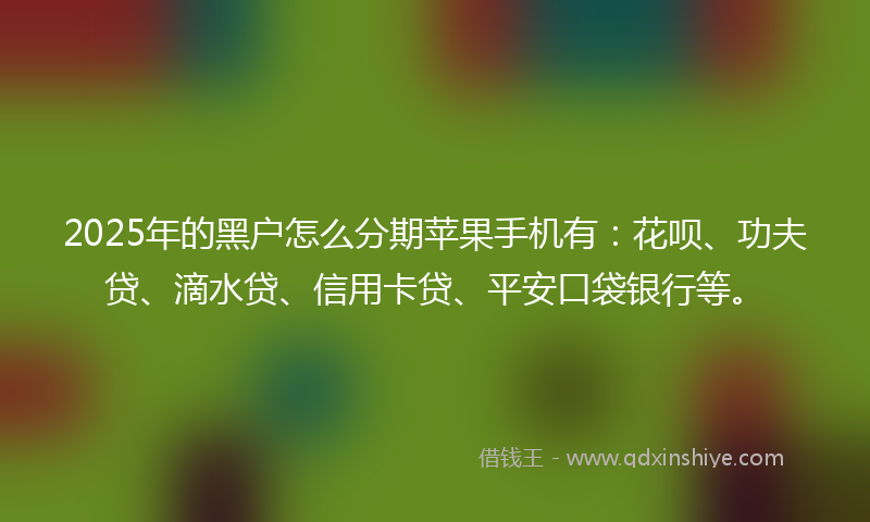 2025年的黑户怎么分期苹果手机有：花呗、功夫贷、滴水贷、信用卡贷、平安口袋银行等。