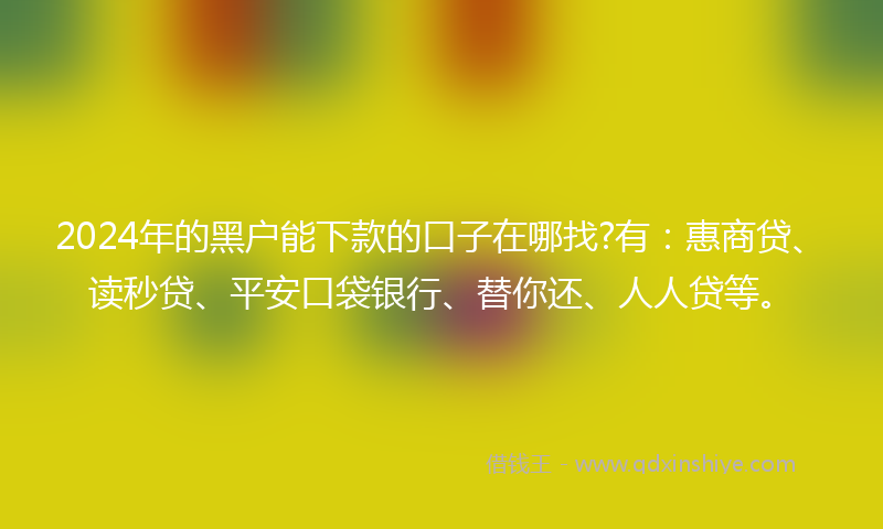 2024年的黑户能下款的口子在哪找?有：惠商贷、读秒贷、平安口袋银行、替你还、人人贷等。