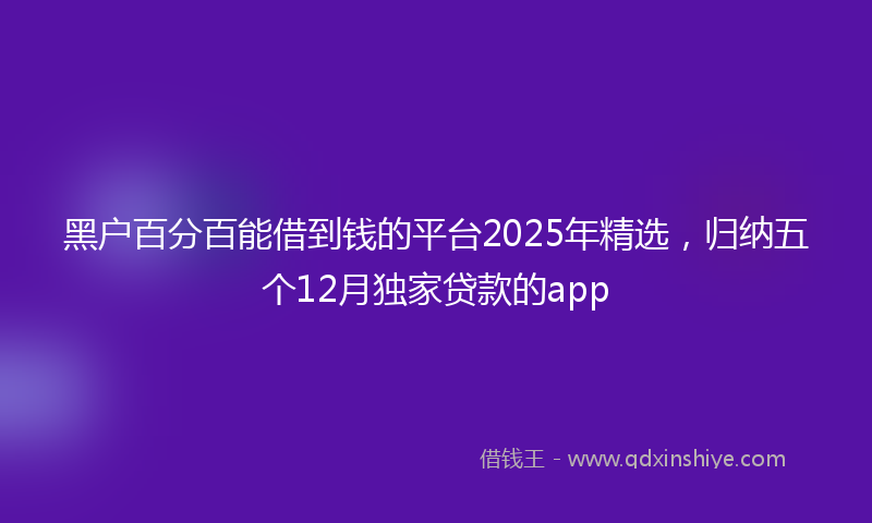 黑户百分百能借到钱的平台2025年精选，归纳五个12月独家贷款的app