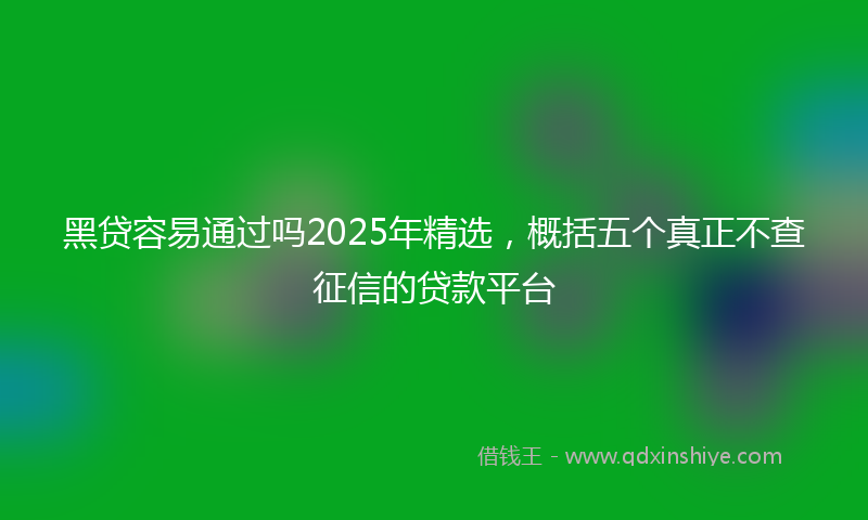 黑贷容易通过吗2025年精选，概括五个真正不查征信的贷款平台