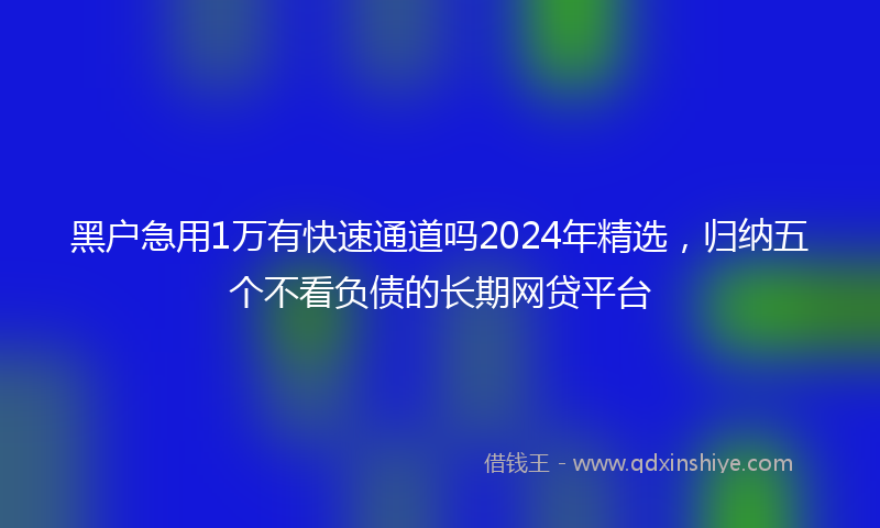黑户急用1万有快速通道吗2024年精选，归纳五个不看负债的长期网贷平台