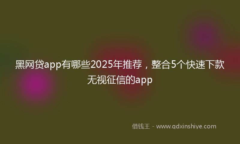 黑网贷app有哪些2025年推荐，整合5个快速下款无视征信的app