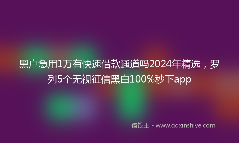黑户急用1万有快速借款通道吗2024年精选，罗列5个无视征信黑白100%秒下app
