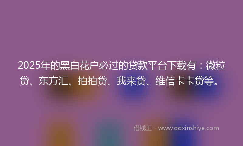 2025年的黑白花户必过的贷款平台下载有：微粒贷、东方汇、拍拍贷、我来贷、维信卡卡贷等。