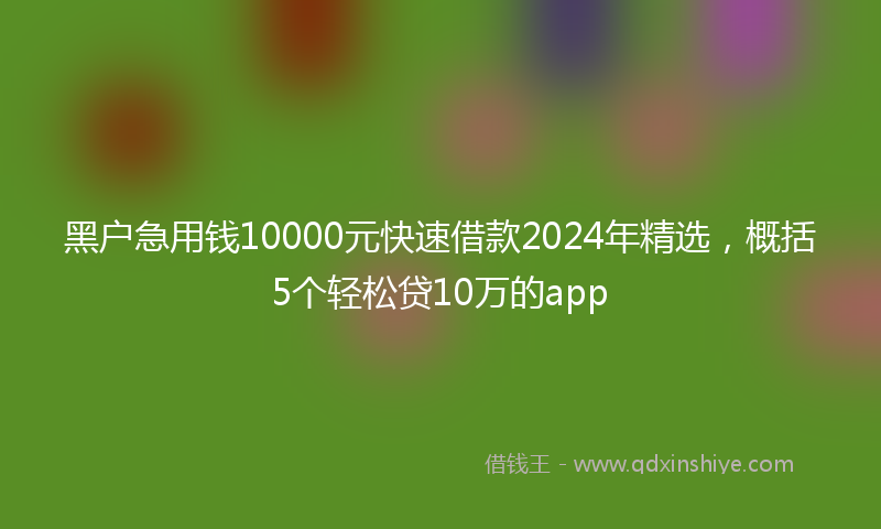 黑户急用钱10000元快速借款2024年精选，概括5个轻松贷10万的app