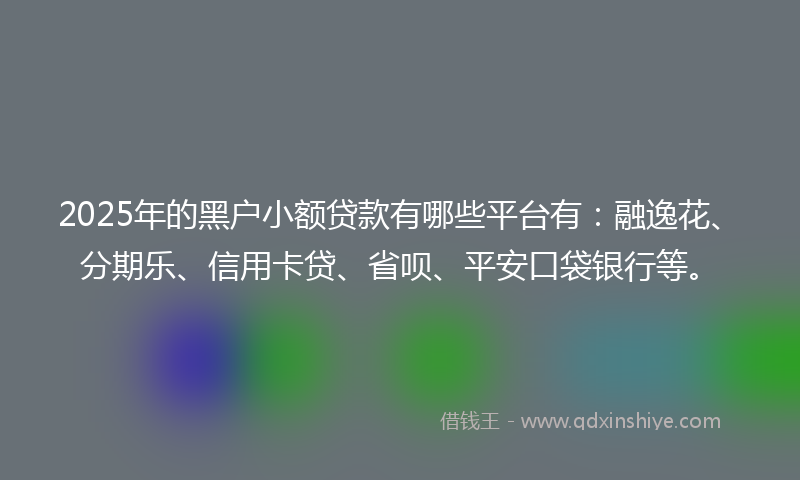 2025年的黑户小额贷款有哪些平台有：融逸花、分期乐、信用卡贷、省呗、平安口袋银行等。